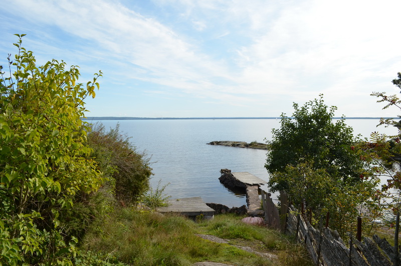 ner till sjön