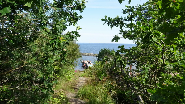 bryggan med ungdomar