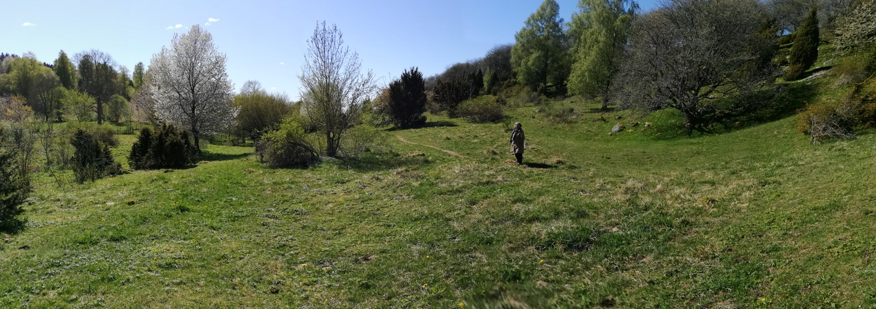 Ryds ängar